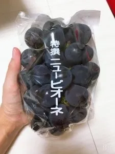 【産地直送】愛菜連のニューピオーネ(種なし) 2kg箱(3～4房)