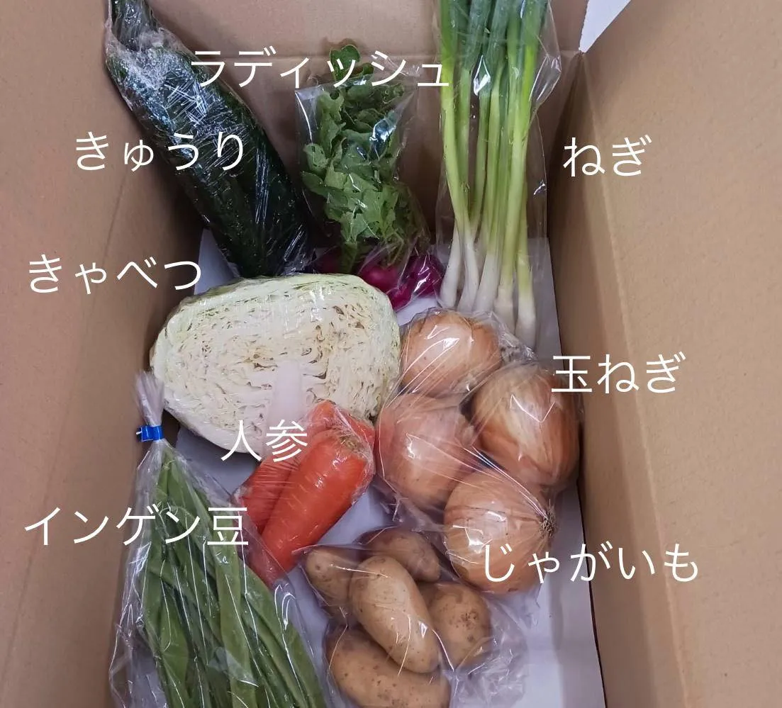 今週の野菜パック（4人用）の中身を公開しちゃいます！