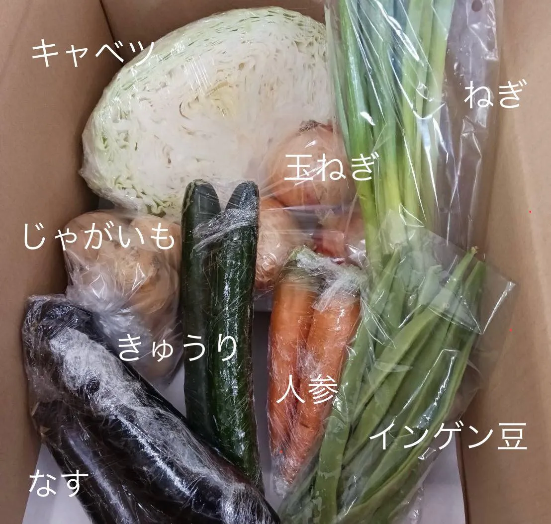 さて、今週の野菜パック(4人用)の中身をお知らせします。