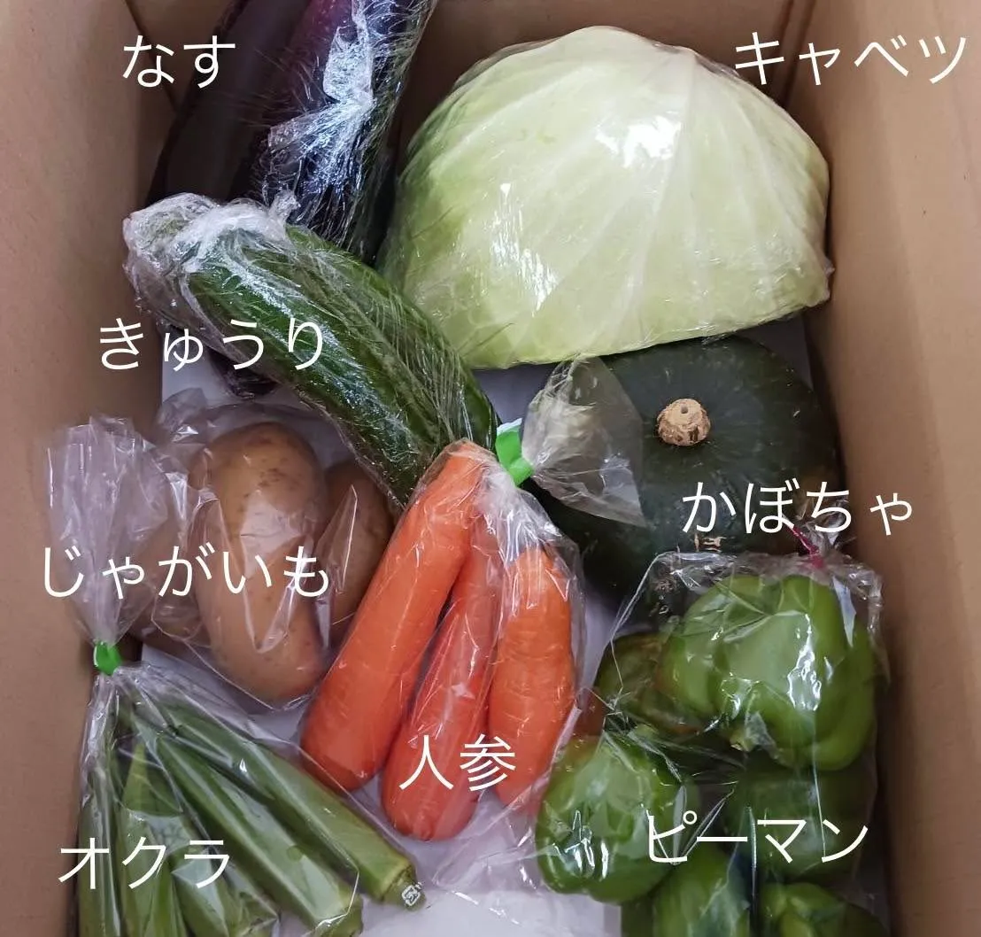 今週も素敵な野菜がたくさん入ったパックが到着しましたよ！