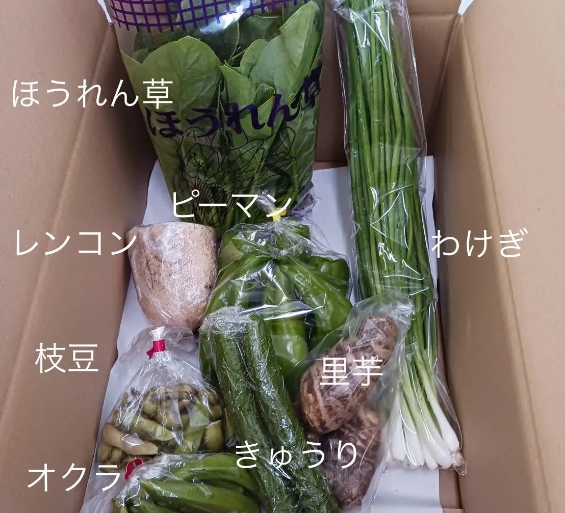 こんにちは、皆さん！今週もお待ちかね、おまかせ愛菜連の野菜パ...