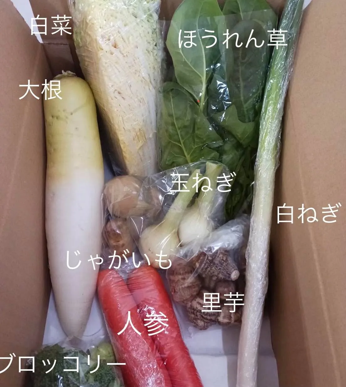 今週の野菜パックの中身を久々にお披露目します！地域の農家さん...